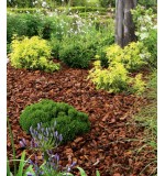 DCM dekorativna kora od drveta 20 – 40mm 70 l (Fotografija 3)