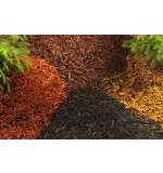 DCM PINE BARK (Fotografija 3)